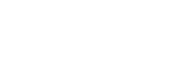 VNE